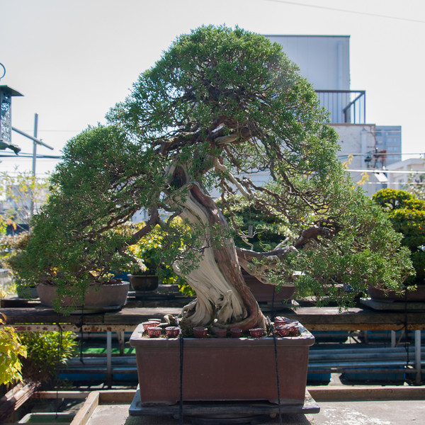 20111027-DSC_0060-L.jpg