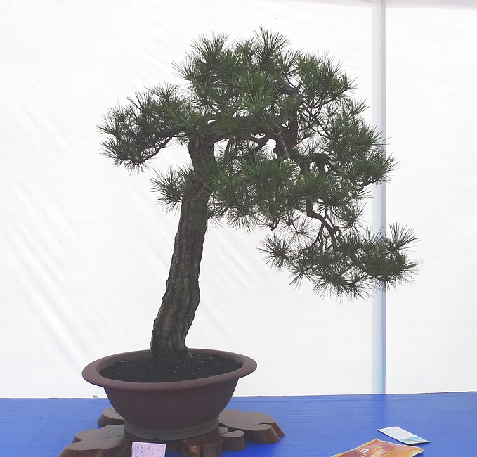 P1010201.JPG