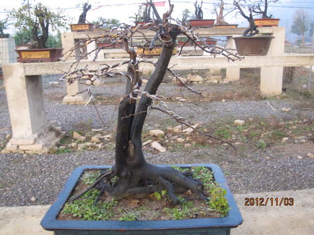 IMG_4499.jpg
