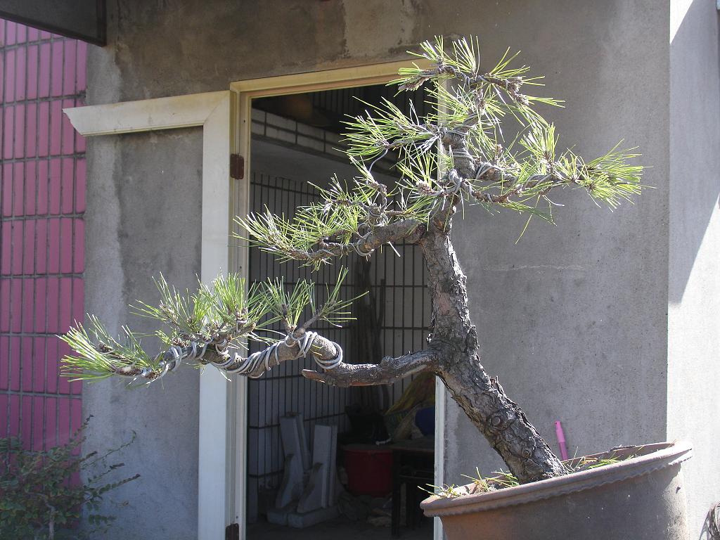 DSC00315.JPG