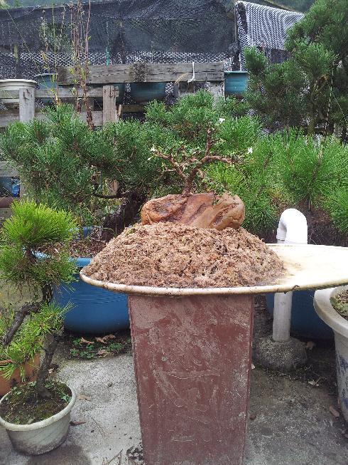 20121104_153527.jpg