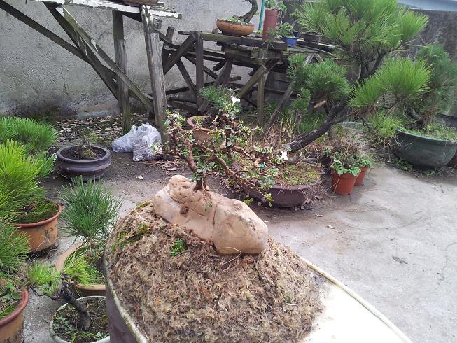 20121104_160106.jpg