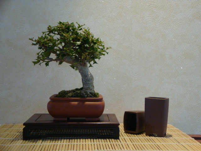 DSC01011.JPG