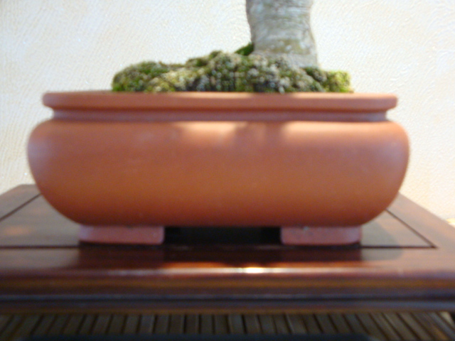 DSC01014.JPG