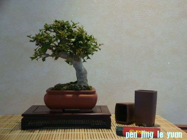 071303rl8ws2si2z441zj8_jpg_thumb_conew1.jpg