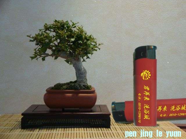 071303rl8ws2si2z441zj8_jpg_thumb_conew3.jpg