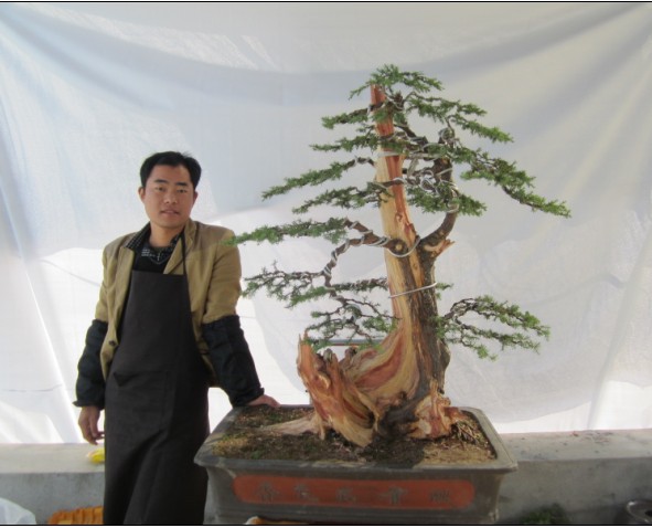 KU_Y647@{PBT7886~YTAVYW.jpg