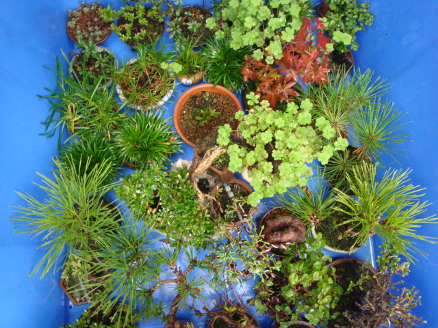 DSC01005.JPG