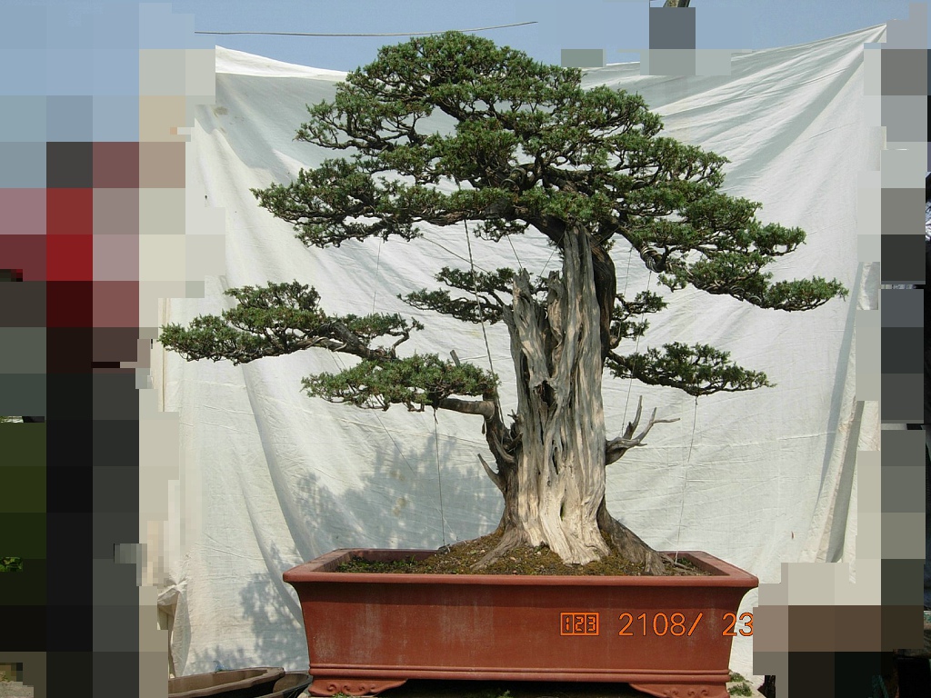 DSCN6371.JPG