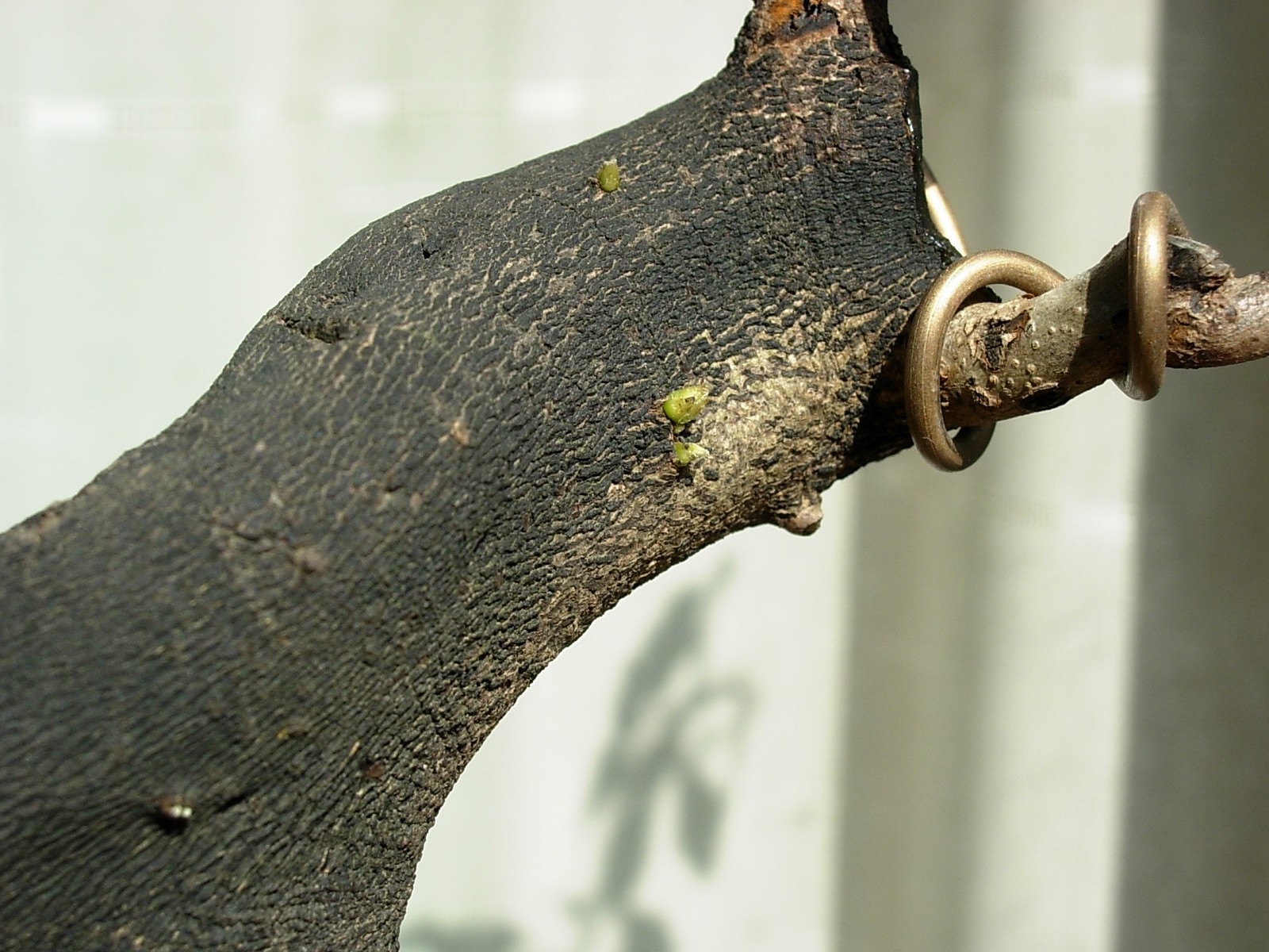 DSCN8629.JPG