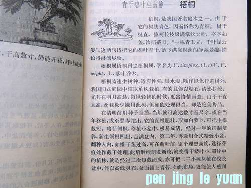 DSCN0262_.jpg
