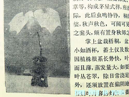 DSCN0263_.jpg