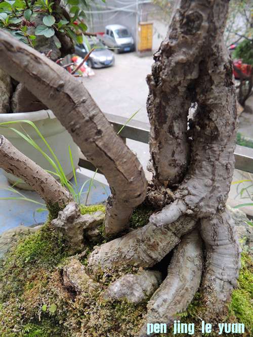 DSCN0253_.jpg