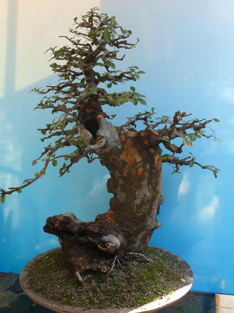 S1051703.JPG