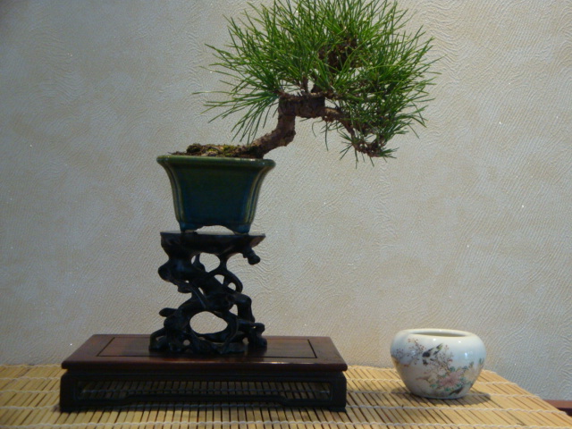DSC01006.JPG