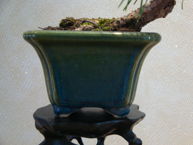 DSC01008.JPG