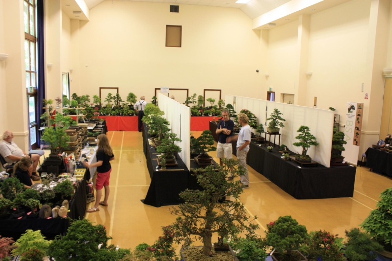 hall_110.jpg