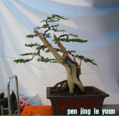 JB9JN6(@A{_C}GLRYPW2.jpg