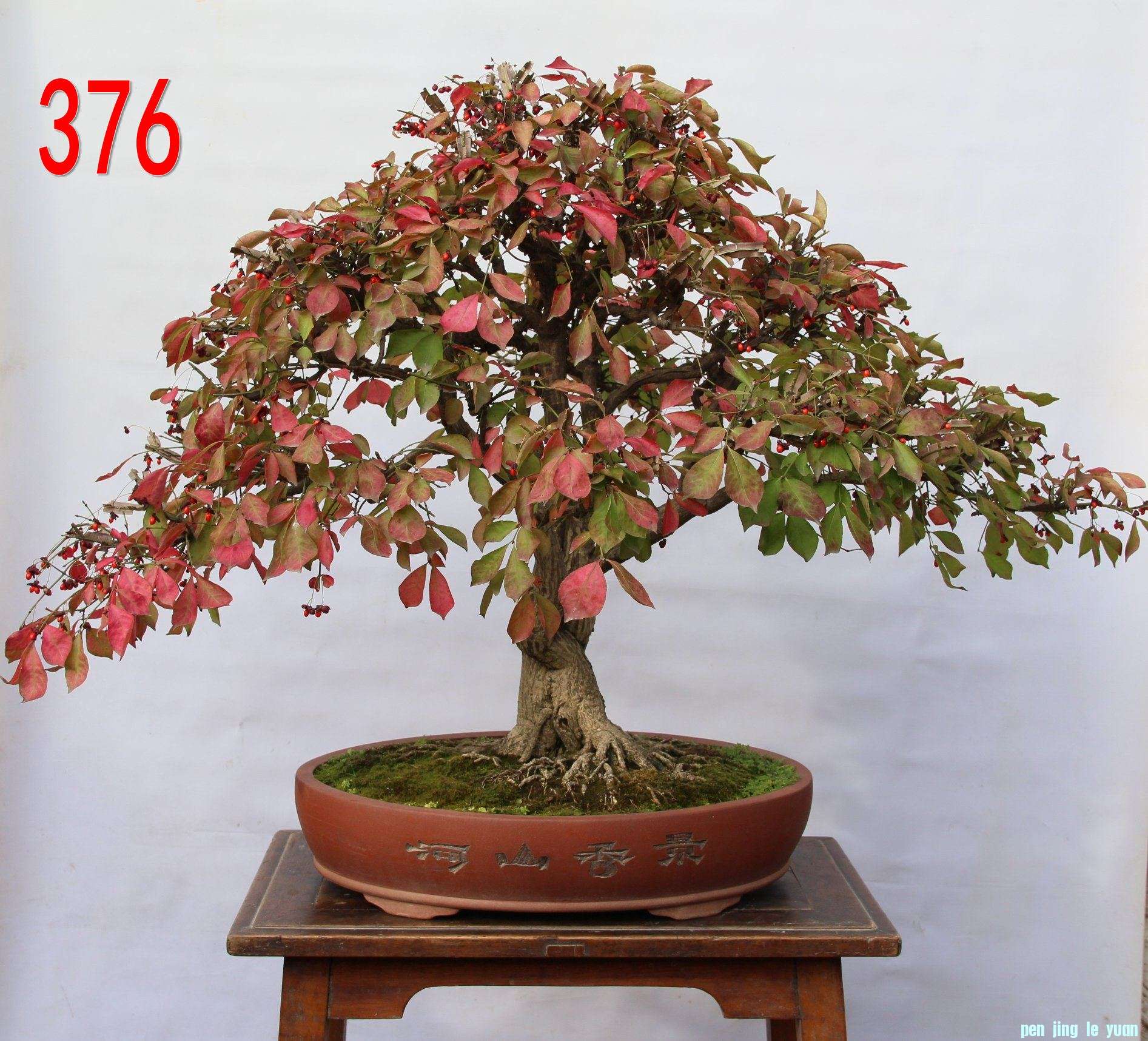 ɫ   ì  80cm95cm.jpg