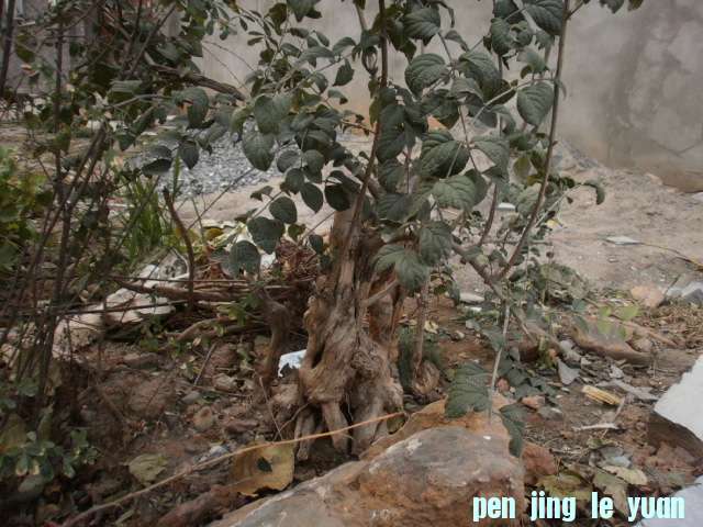 PB070118.JPG
