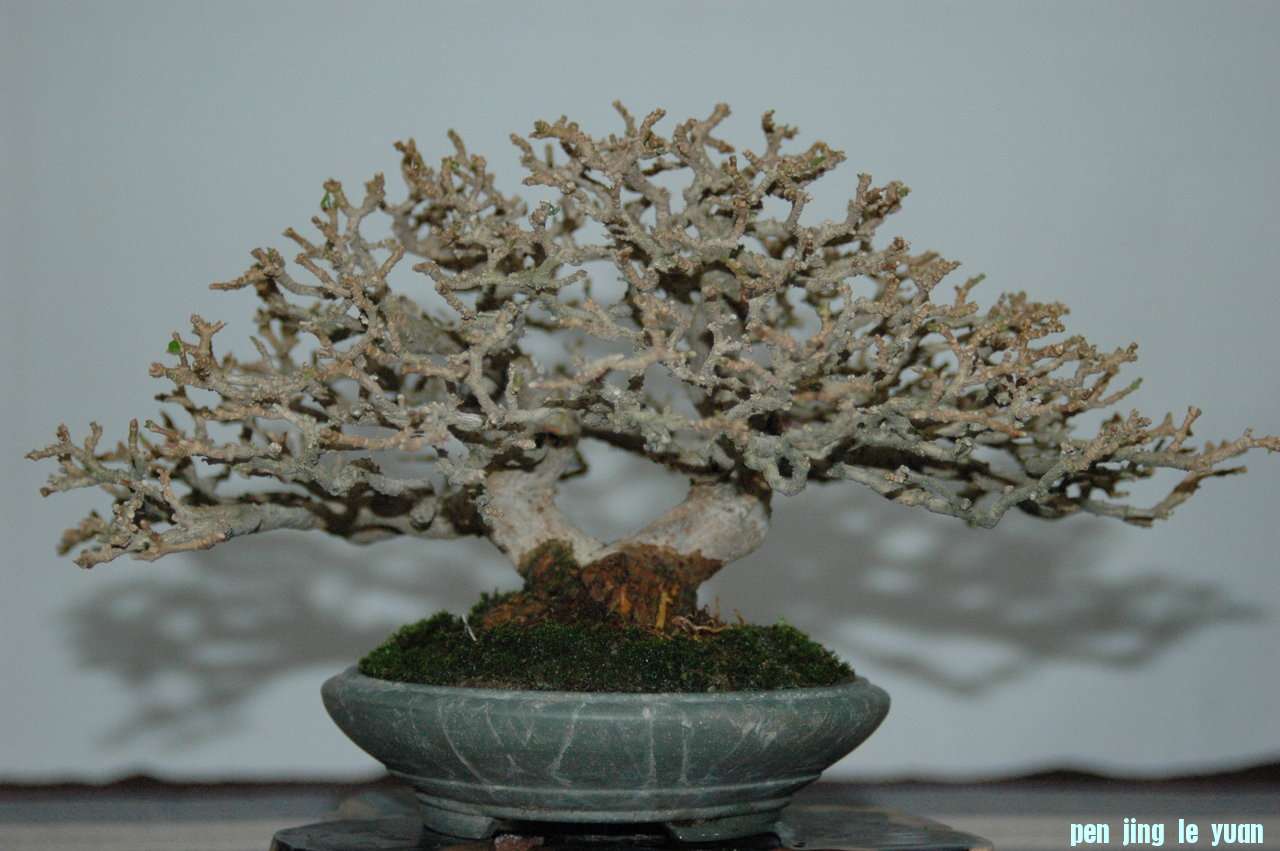 7NhouEnWIScNkJXgr7QM8A.jpg