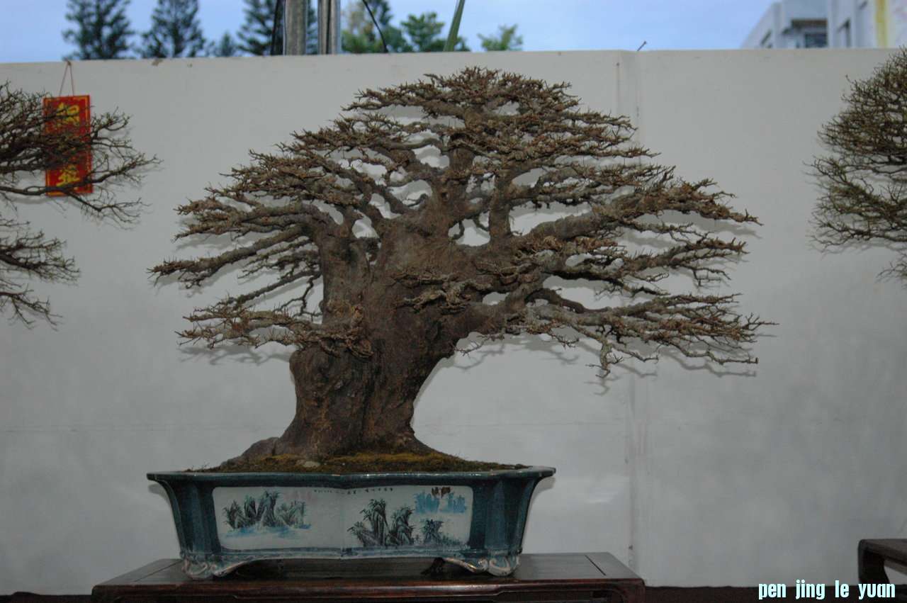 CIIML8j8eHQf_Pkp_VxjCA.jpg