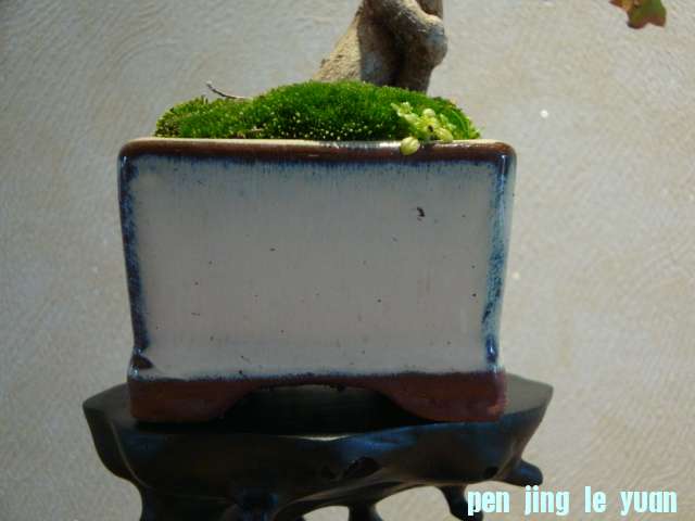 DSC01018.JPG