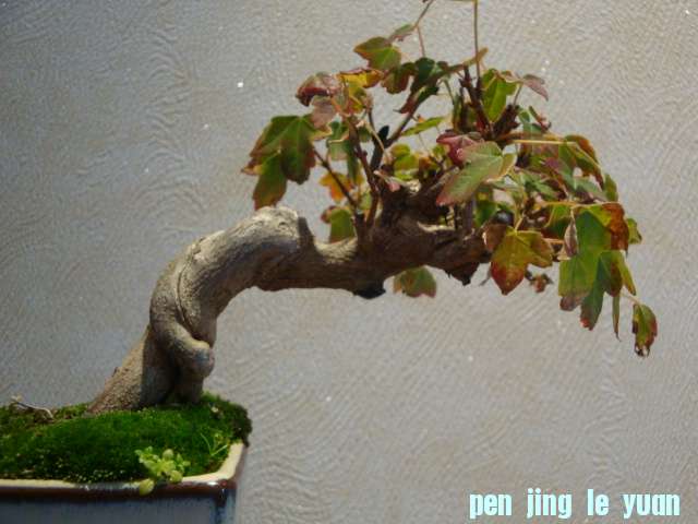 DSC01019.JPG