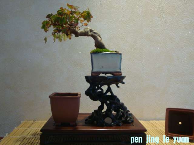 DSC01022.JPG
