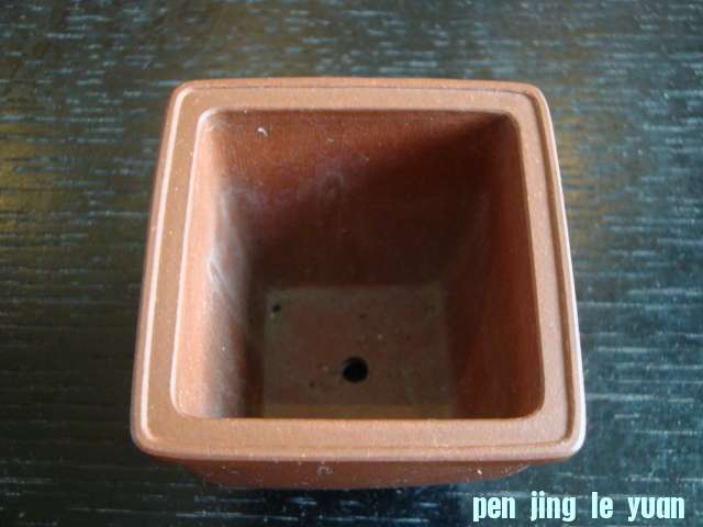 DSC01023.JPG