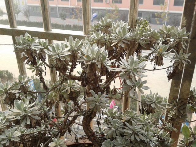 2012-11-08 08.57.57.jpg