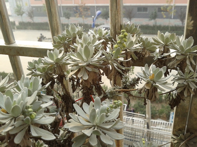 2012-11-08 08.58.06.jpg
