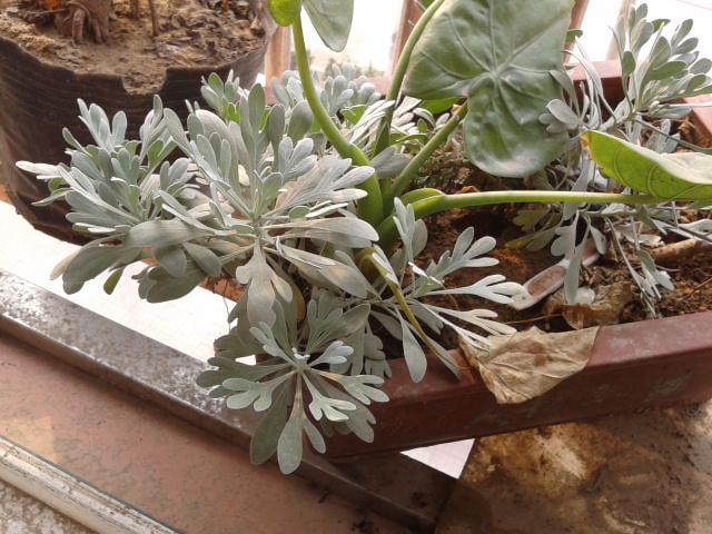 2012-11-08 08.58.38.jpg