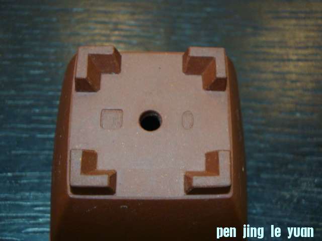DSC01050.JPG