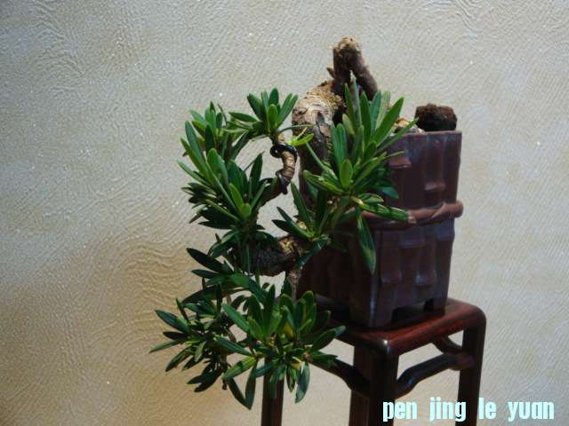 DSC01045.JPG
