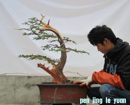 0P_27UMY5VF)T3FAU65S]W9.jpg