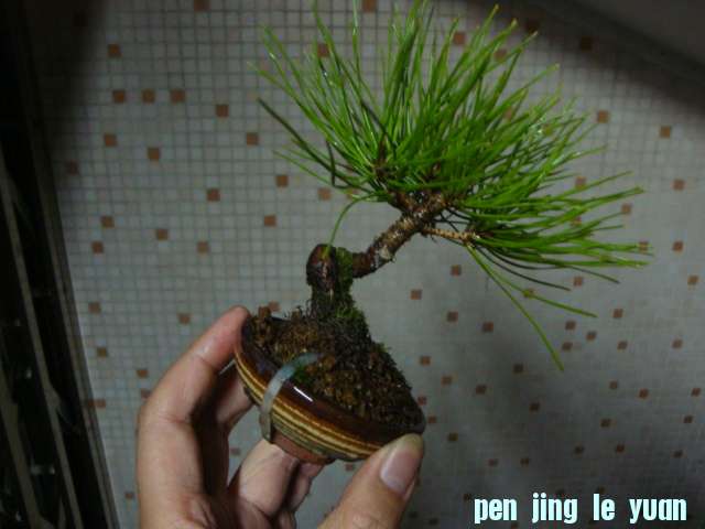 DSC01107.JPG