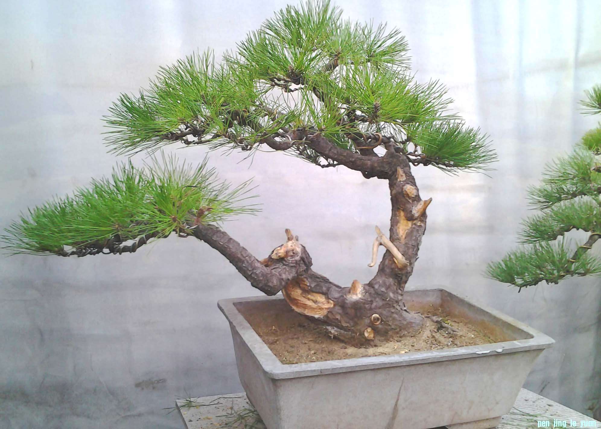 Ƭ0492.jpg