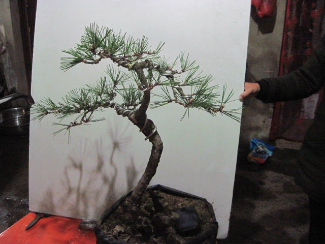 2012-11-10 001.jpg