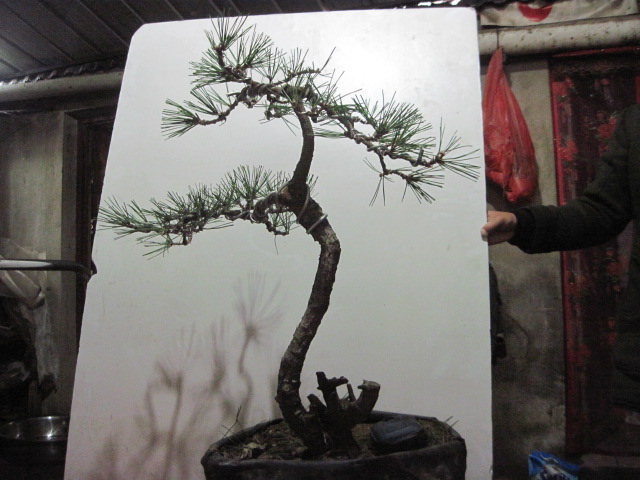 2012-11-10 002.jpg