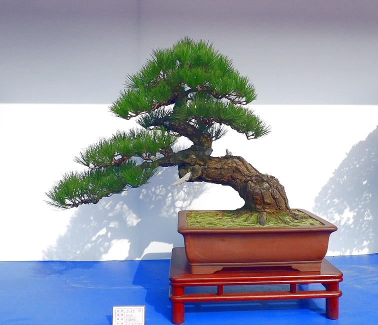 P1010236.JPG