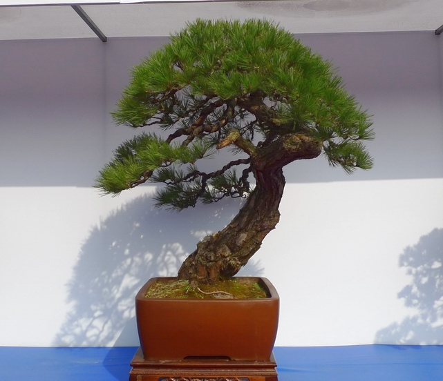 P1010241.JPG