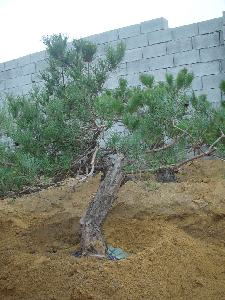 DSCN2673.JPG