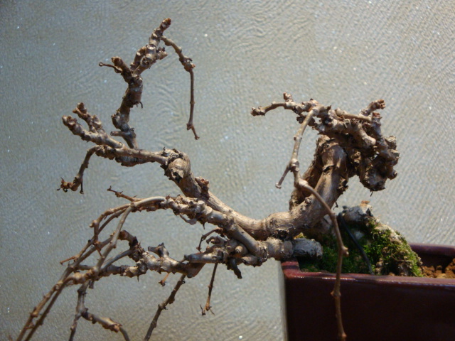 DSC01052.JPG