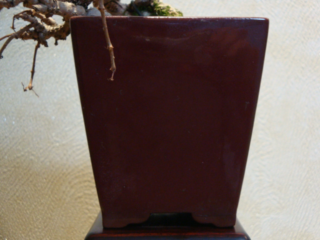 DSC01053.JPG
