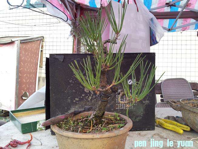 20121111_171417.jpg
