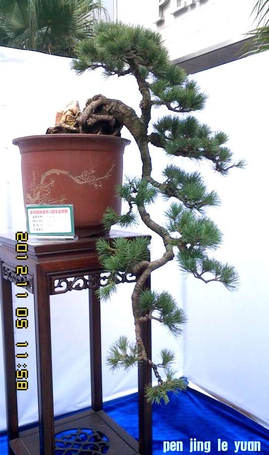 IMG1105115800.jpg