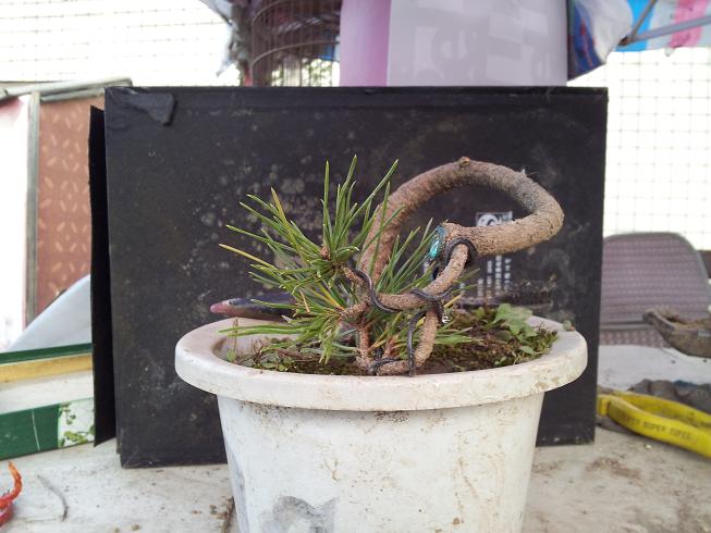 20121111_171008.jpg