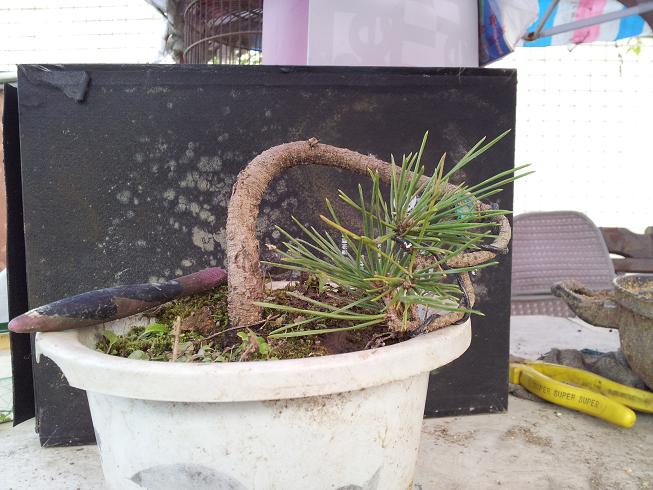 20121111_171014.jpg