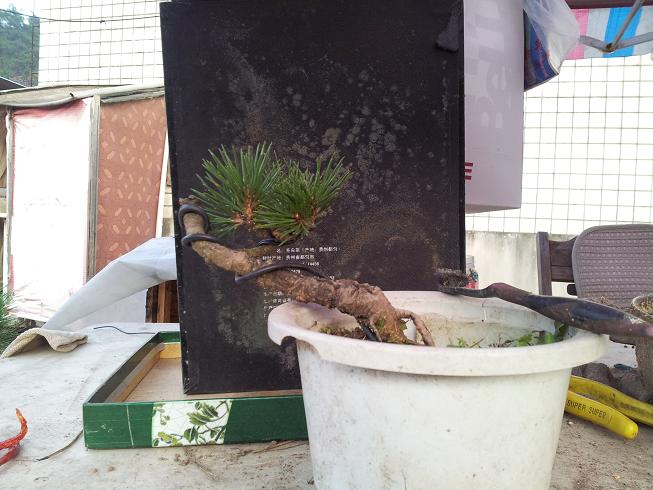 20121111_170526.jpg